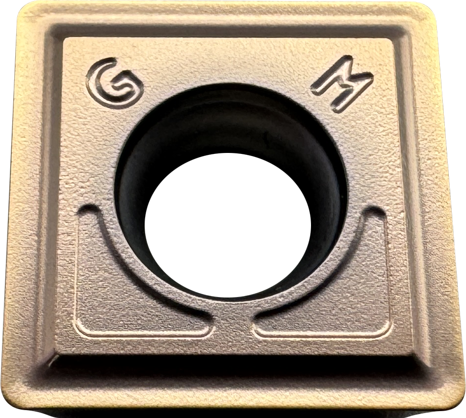 880-0303W05H-P-GM M60